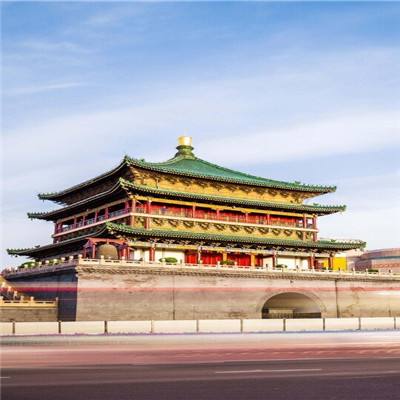 萌宠大探险破解版下载